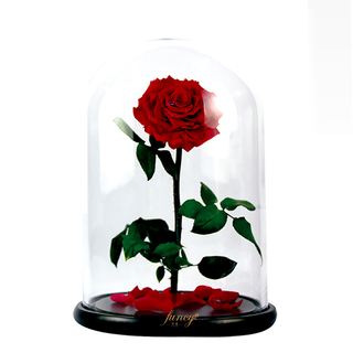 Preserved Rose in L Size Glass