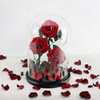 Preserved Roses in L Size Glass