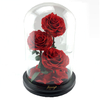 Preserved Roses in L Size Glass
