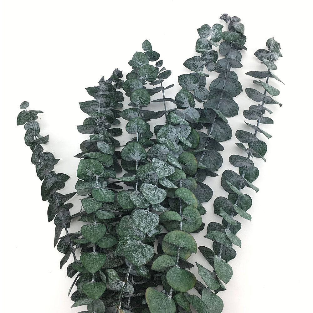 Preserved Eucalyptus Branches and Leaves Buy Product on